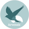 Arvensis